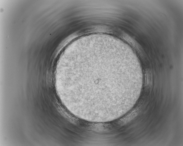 X0000087400828200705042033