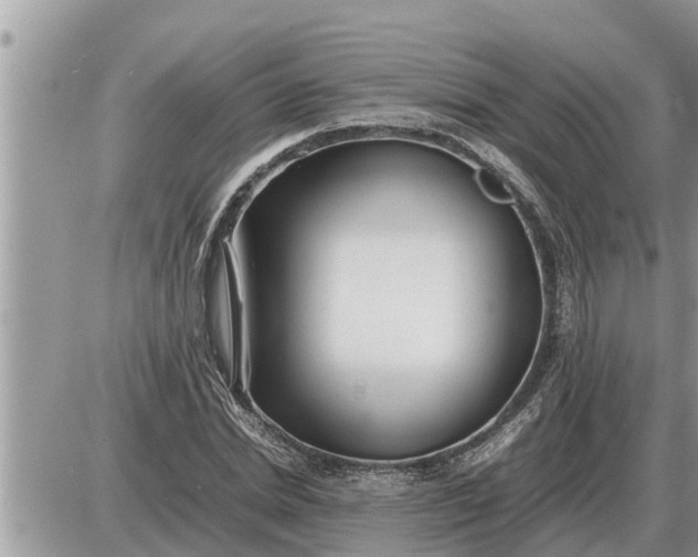 X0000087400830200705042033