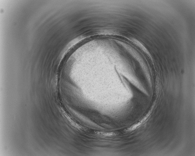 X0000087400831200705042033