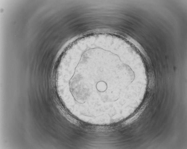 X0000087400832200705042033