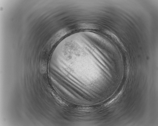 X0000087400833200705042033