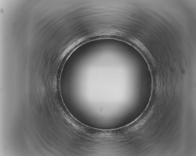 X0000087400834200705042033