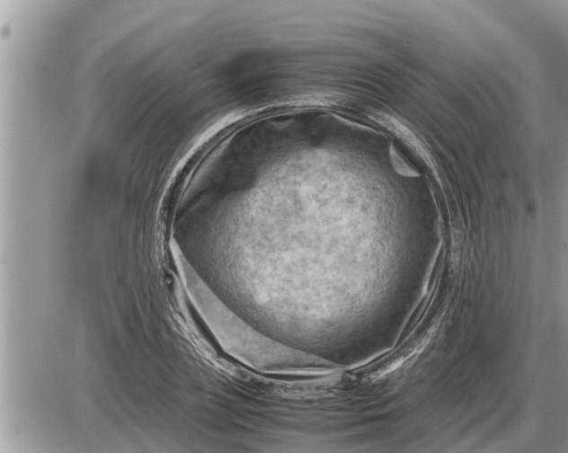 X0000087400835200705042033