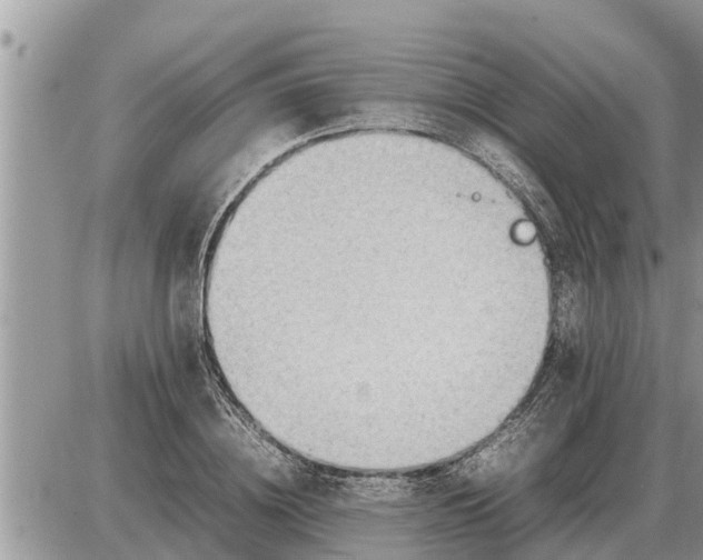 X0000087400836200705042033