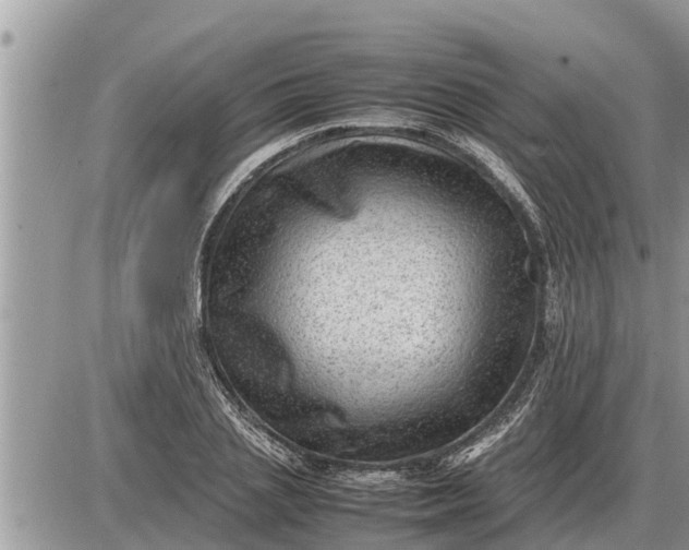 X0000087400837200705042033