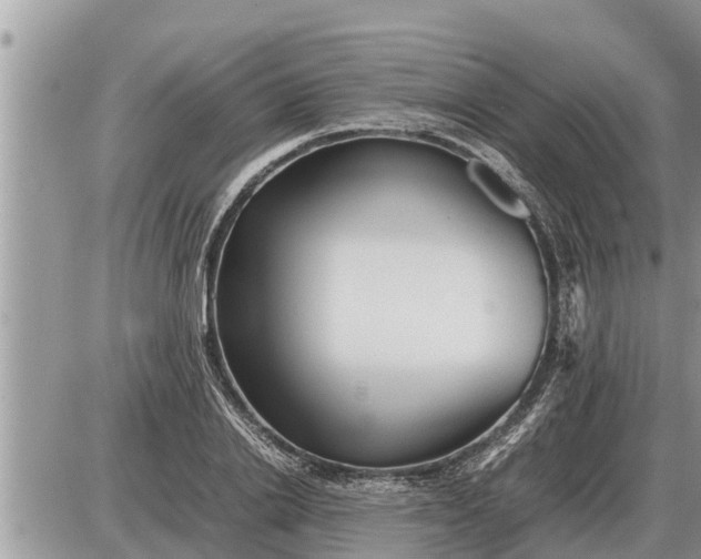 X0000087400838200705042033