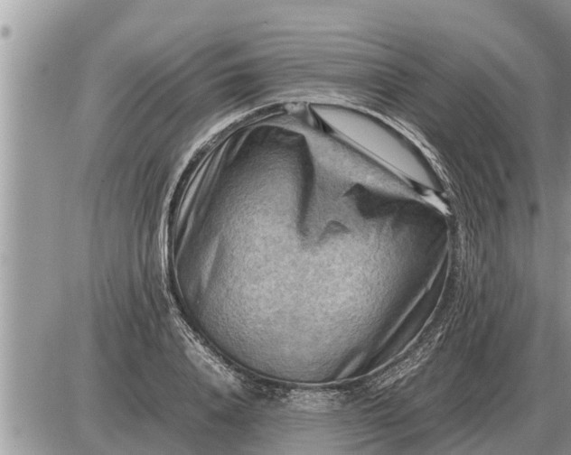 X0000087400840200705042033