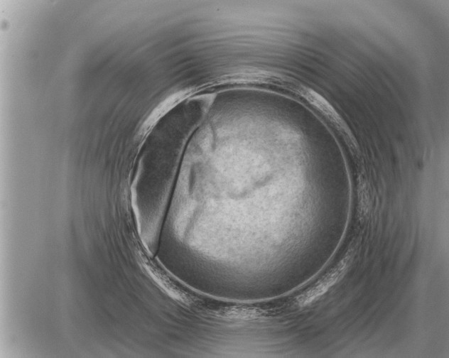 X0000087400842200705042033