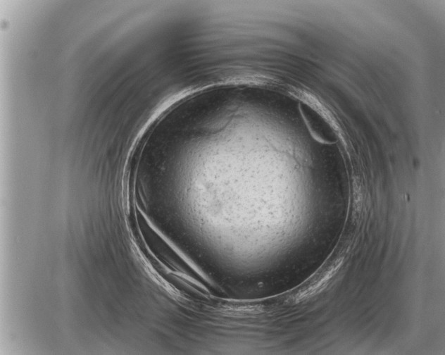 X0000087400843200705042033