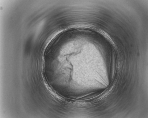 X0000087400844200705042033