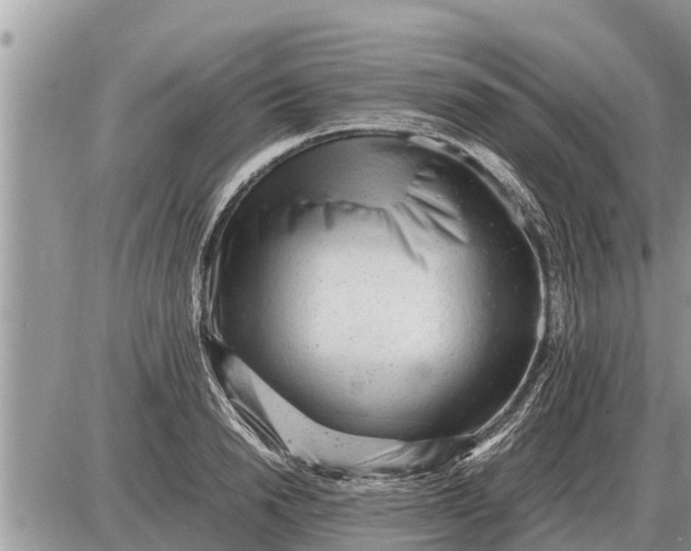 X0000087400846200705042033