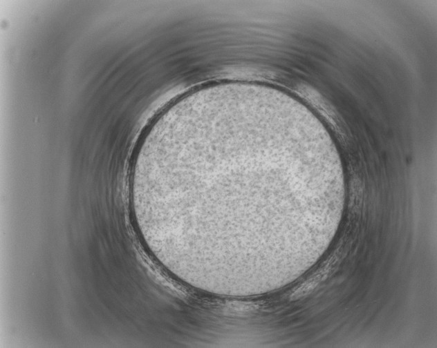 X0000087400848200705042033