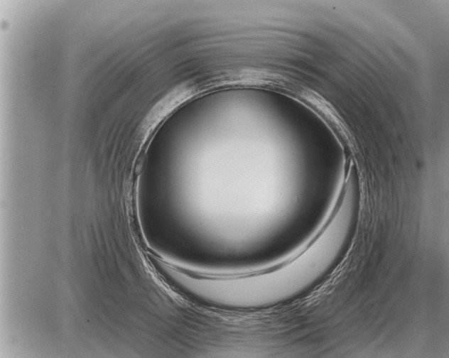 X0000087400850200705042033