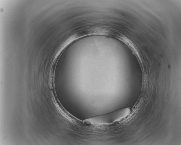 X0000087400851200705042033