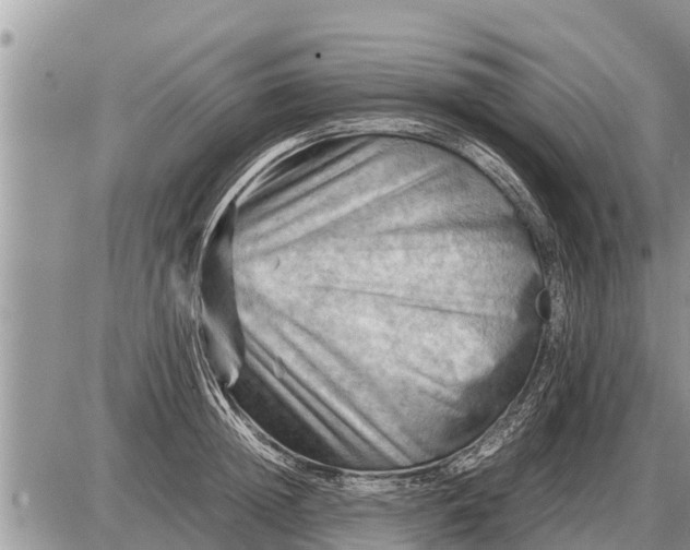 X0000087400852200705042033