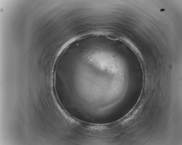 X0000087400853200705042033