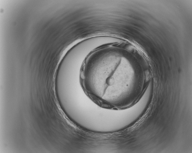 X0000087400854200705042033