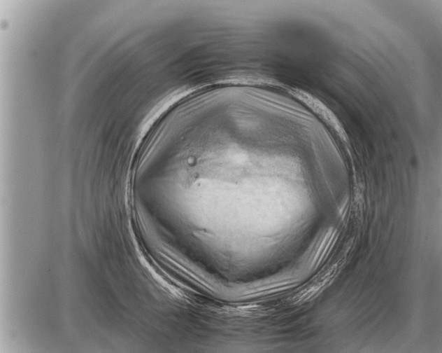 X0000087400855200705042034