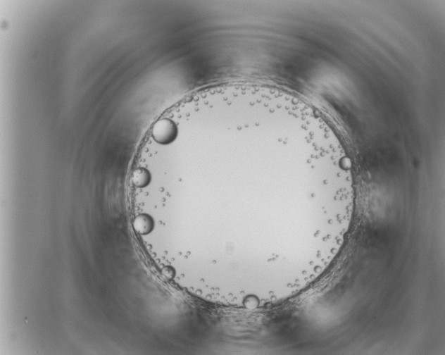 X0000087400856200705042034