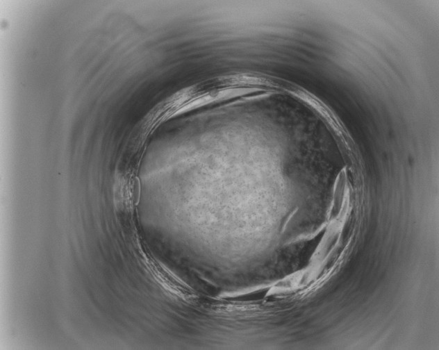 X0000087400857200705042034