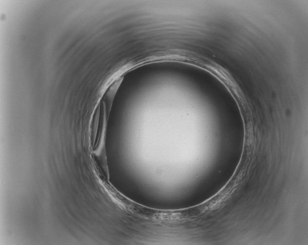 X0000087400858200705042034