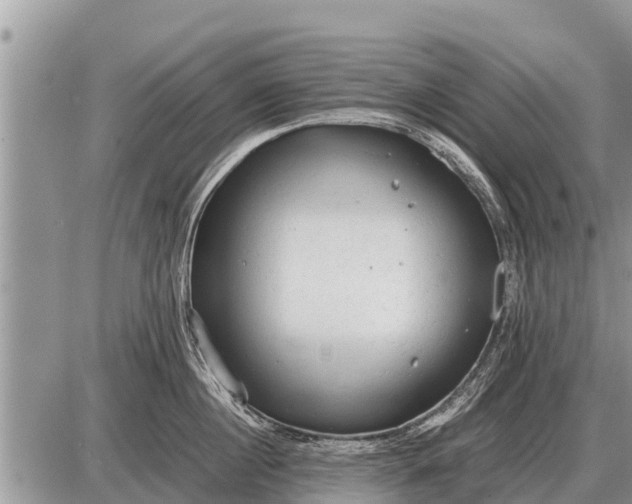 X0000087400860200705042034