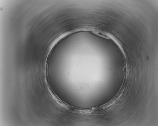 X0000087400861200705042034