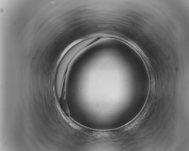 X0000087400862200705042034