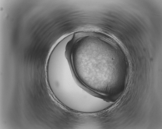 X0000087400864200705042034