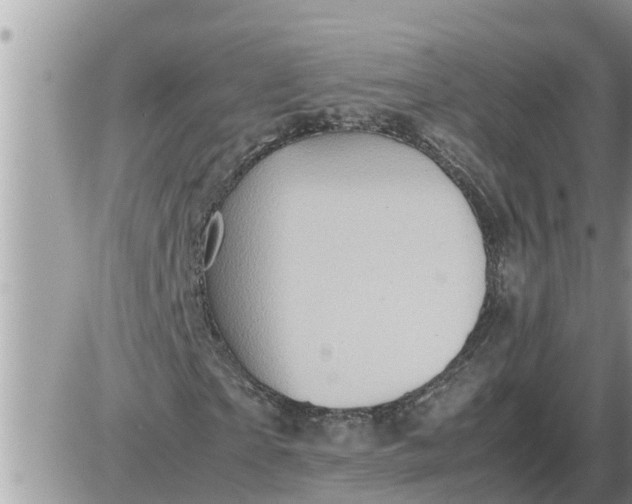 X0000087400865200705042033