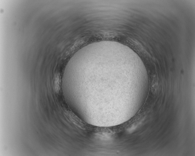 X0000087400866200705042033