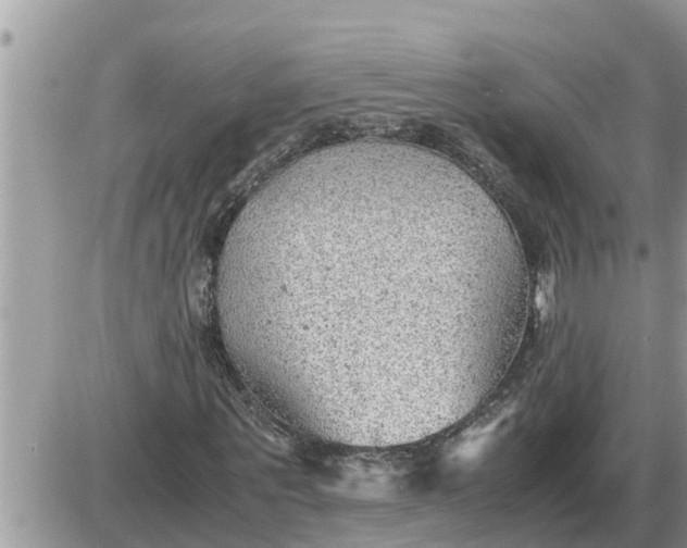 X0000087400867200705042033