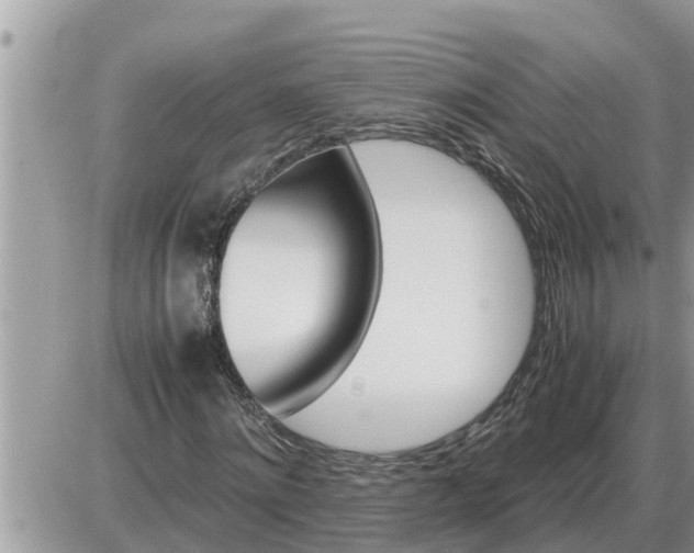 X0000087400868200705042033