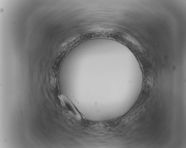 X0000087400869200705042033