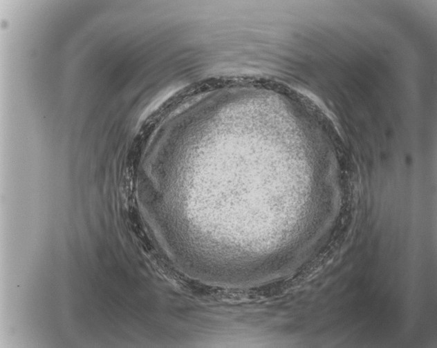 X0000087400871200705042033