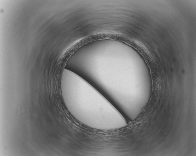 X0000087400872200705042033