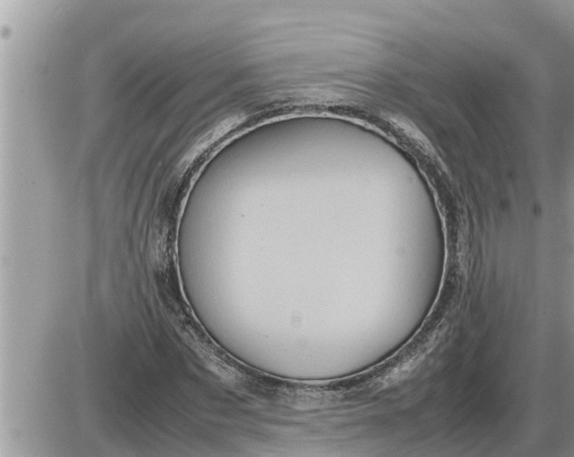 X0000087400873200705042033