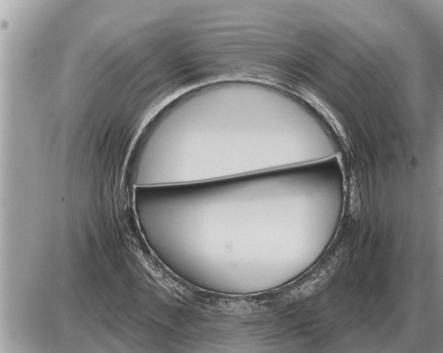 X0000087400876200705042033