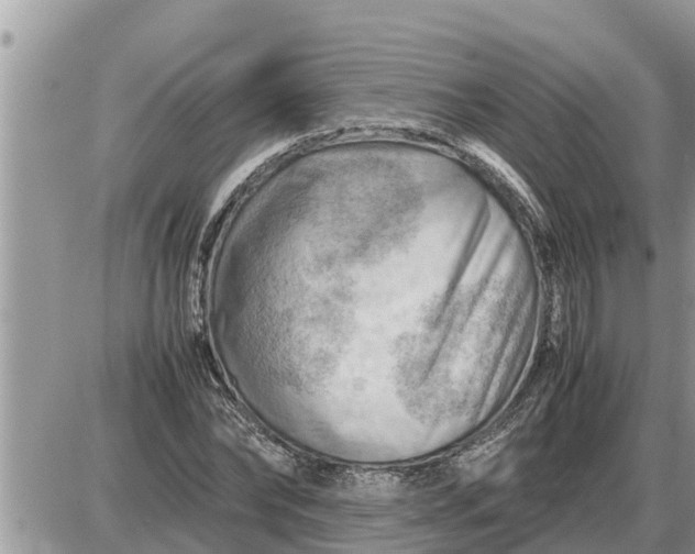 X0000087400878200705042033