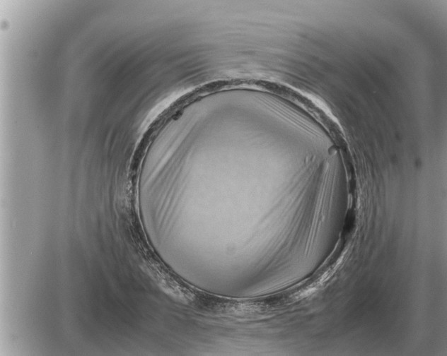 X0000087400879200705042033