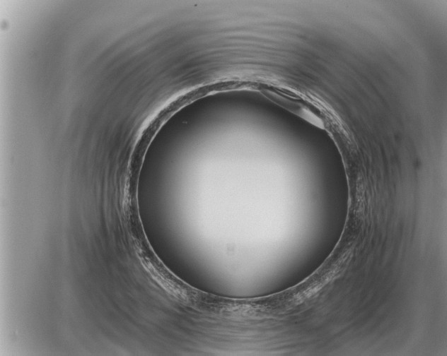 X0000087400880200705042033