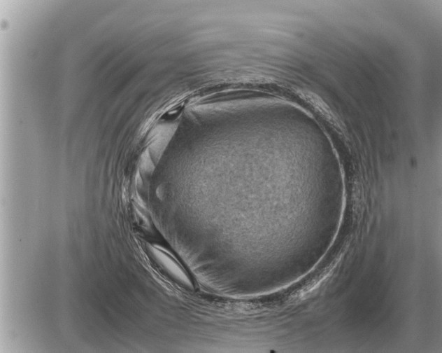 X0000087400881200705042033