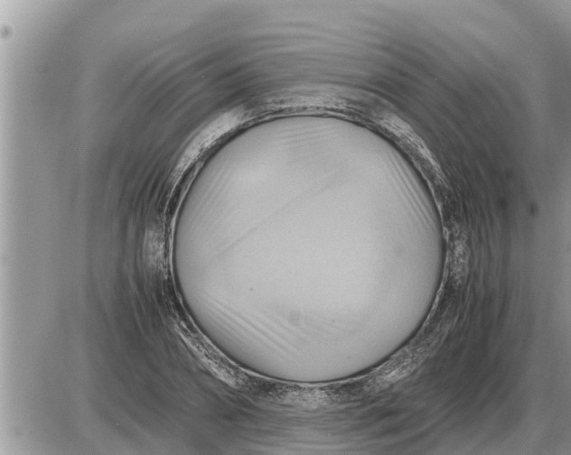 X0000087400882200705042033