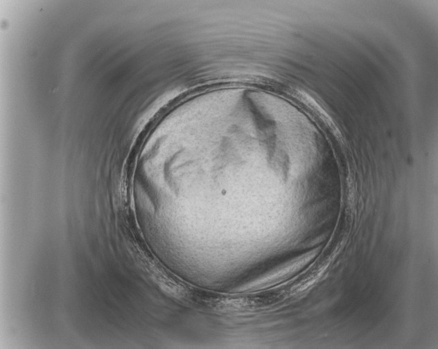 X0000087400883200705042033