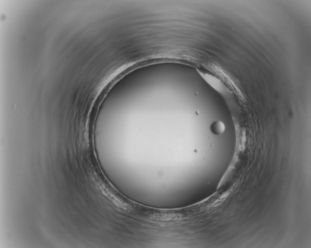 X0000087400884200705042033