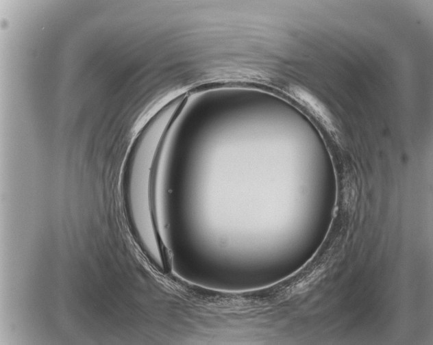 X0000087400885200705042033