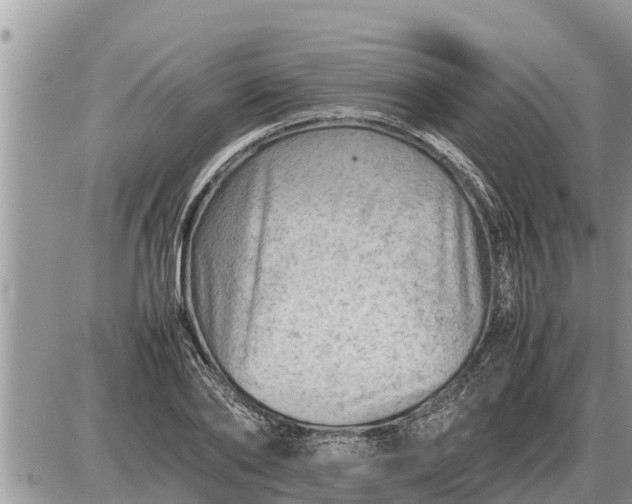 X0000087400886200705042033