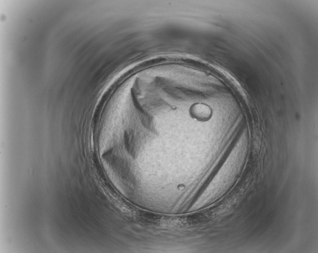 X0000087400887200705042033