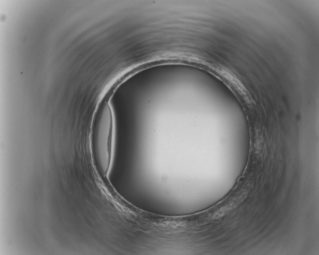 X0000087400888200705042033