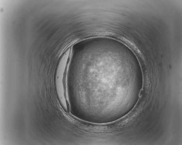 X0000087400889200705042032